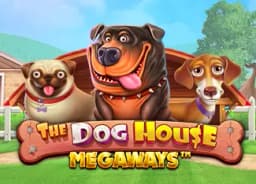 nisantasinet: The Dog House Megaways